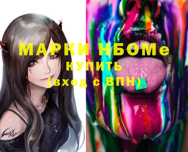 индика Киреевск