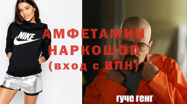 индика Киреевск