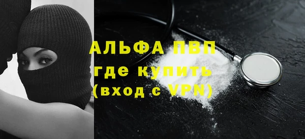 индика Киреевск
