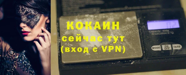 индика Киреевск