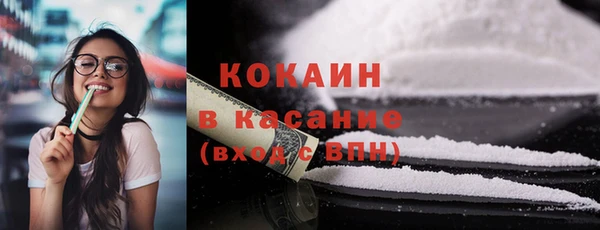 индика Киреевск