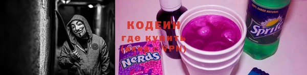 индика Киреевск