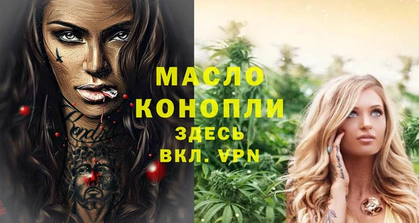 индика Киреевск
