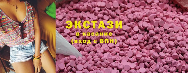индика Киреевск