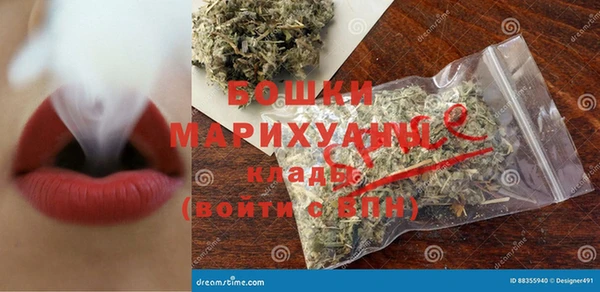 индика Киреевск
