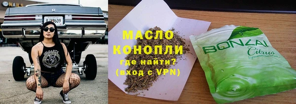 индика Киреевск