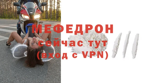 индика Киреевск