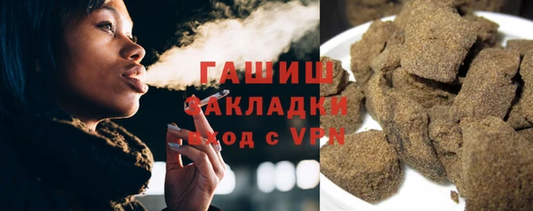 индика Киреевск