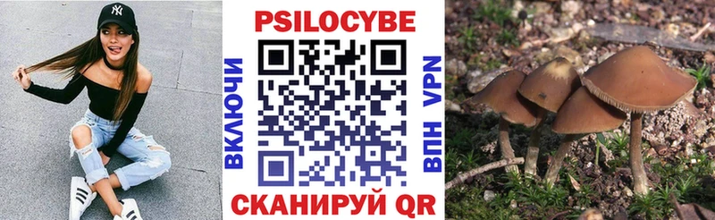Галлюциногенные грибы MAGIC MUSHROOMS  Купить где  Новоуральск 